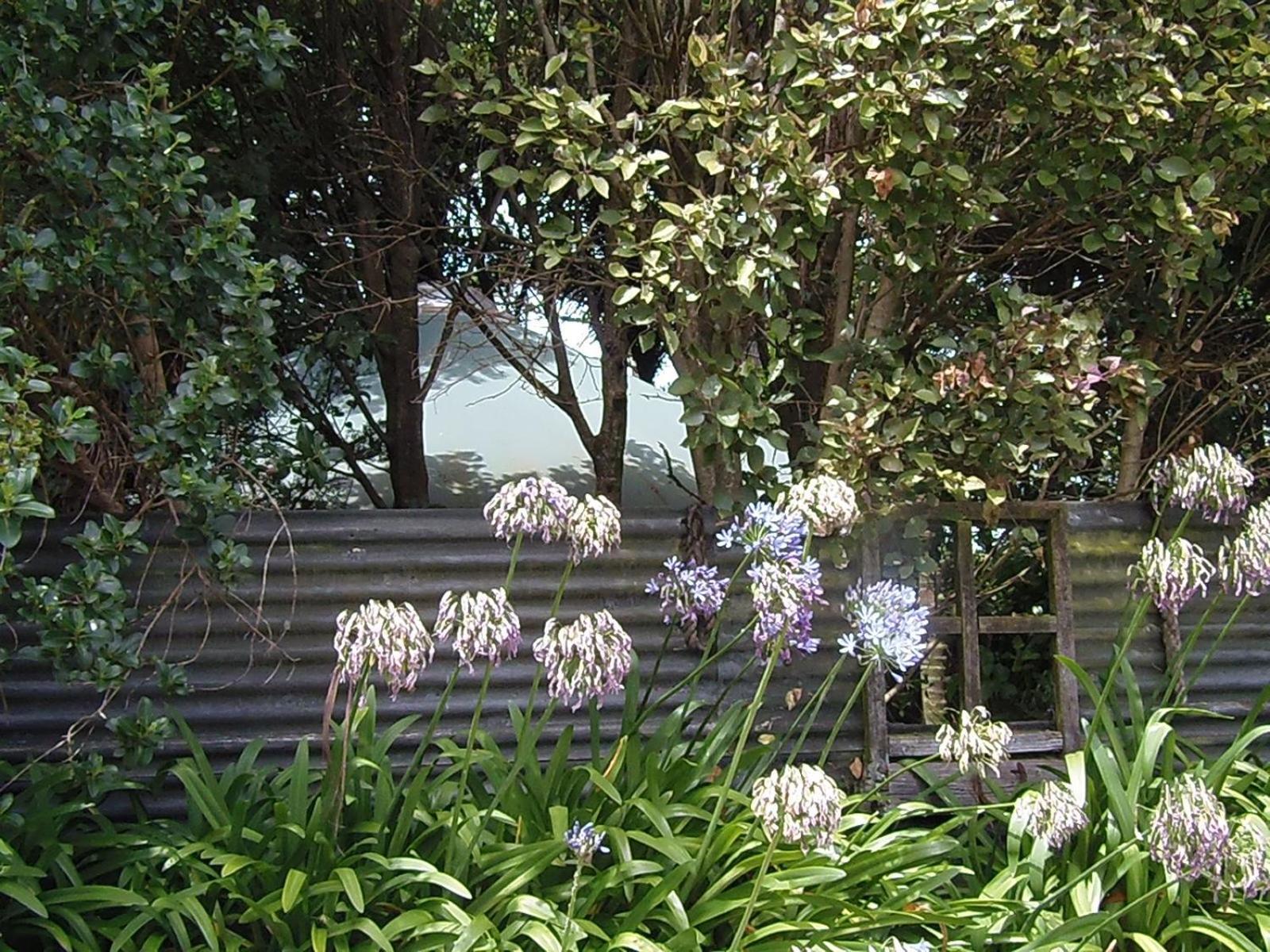 Nikau Sanctuary Hotel Raglan Exterior foto